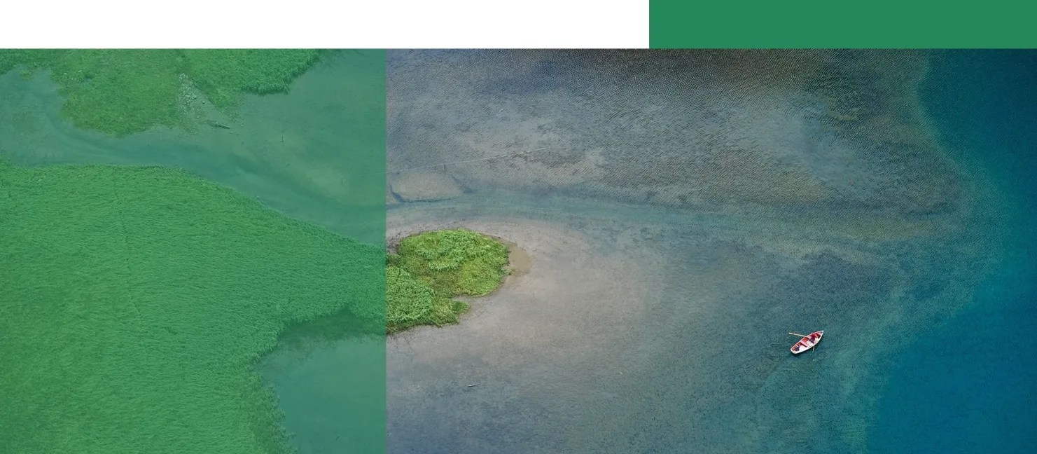 energymax background post